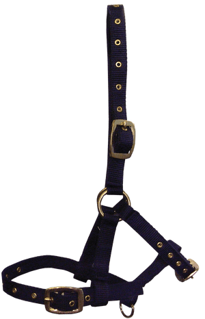 Hy Equestrian Foal Head Collar