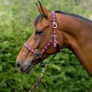 Hy Equestrian Woven Polo Head Collar and Lead Rope