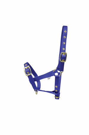 Hy Equestrian Foal Head Collar