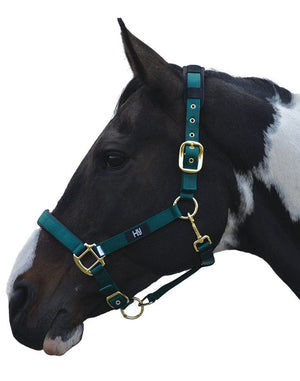 Hy equestrian deluxe padded head collar