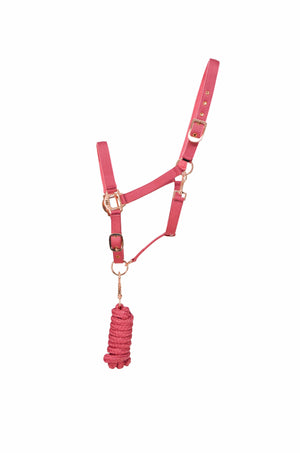 Hy rose gold head collar & lead rope