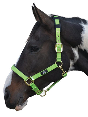 Hy equestrian deluxe padded head collar