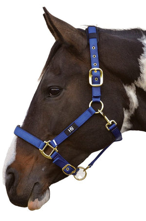 Hy equestrian deluxe padded head collar