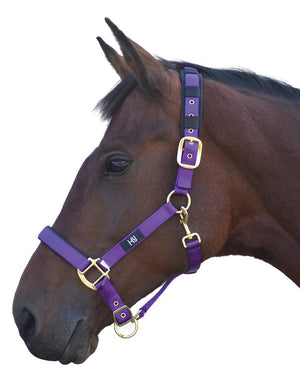 Hy equestrian deluxe padded head collar