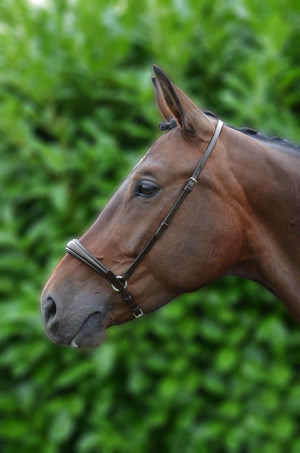 Hy equestrian padded drop nose band