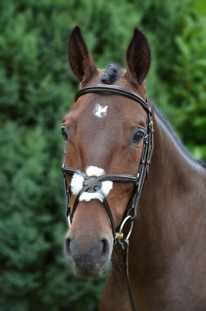 Hy Equestrian Mexican Bridle With Rubber Grip Reins