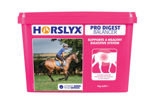 Horslyx pro digest balancer