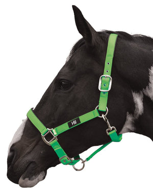 Hy equestrian grand prix head collar