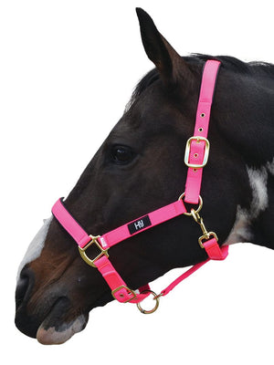 Hy equestrian grand prix head collar