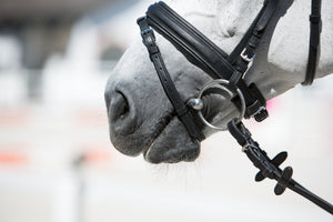 Kieffer ultrasoft economy snaffle bridle