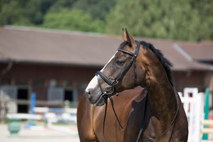 Kieffer ultrasoft snaffle bridle