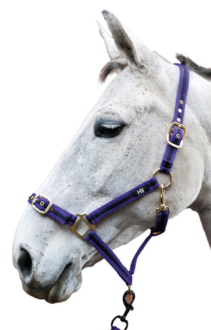 Hy soft webbing head collar