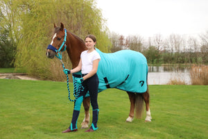 Hy equestrian belton children’s half chaps