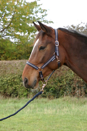 Hy equestrian rose glitter head collar & lead rope set