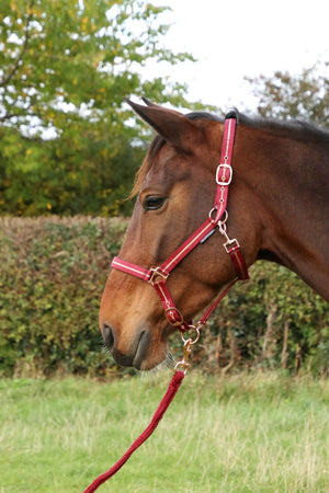 Hy equestrian rose glitter head collar & lead rope set