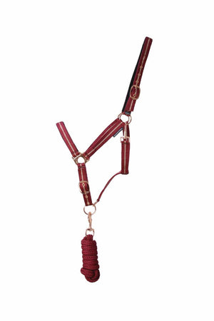 Hy equestrian rose glitter head collar & lead rope set