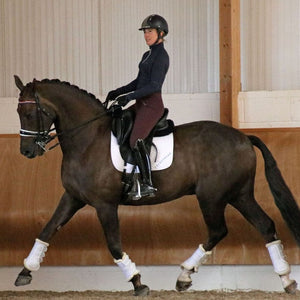 Coldstream kelso riding skins