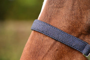 Hy equestrian glitzy headcollar