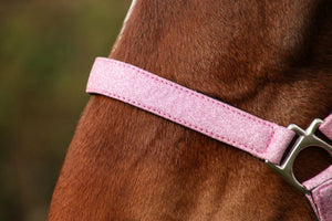 Hy equestrian glitzy headcollar