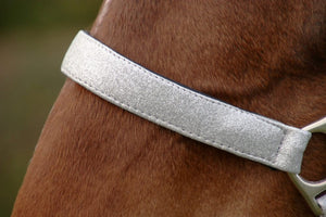 Hy equestrian glitzy headcollar