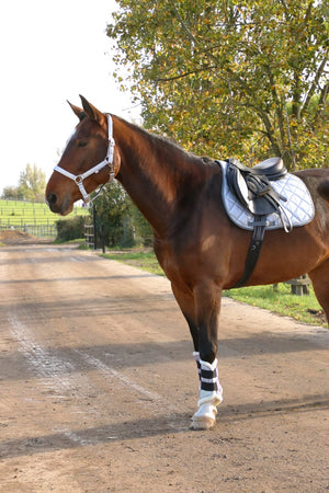 Hy equestrian glitzy saddle pad