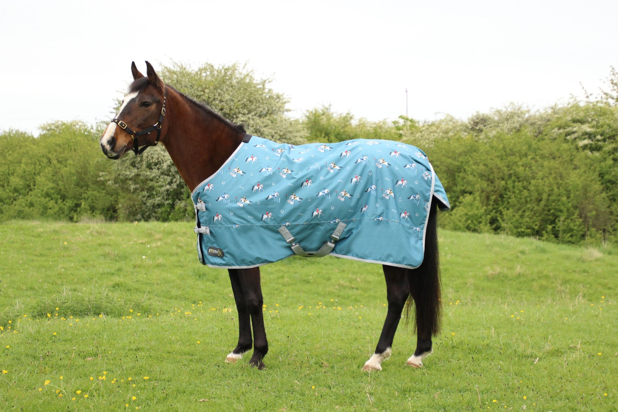 Stormx original competition ready 50 turnout rug - 