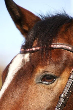 Hy equestrian rosciano rose gold brow band