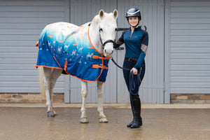 Stormx original seaside donkey 50 turnout rug