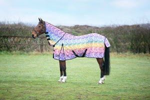 Stormx original zebra rainbow print fly rug