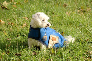 Benji & flo thelwell collection jumps dog coat