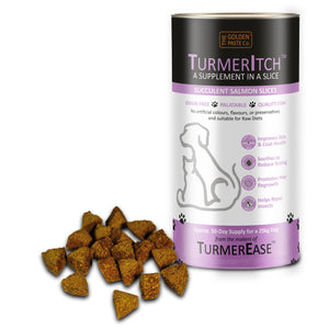 Turmeritch for dogs