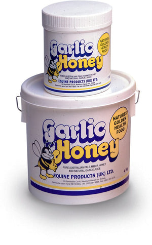 Garlic honey