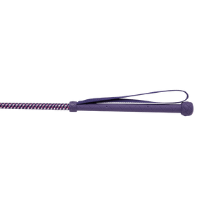 Hy equestrian metallic riding whip