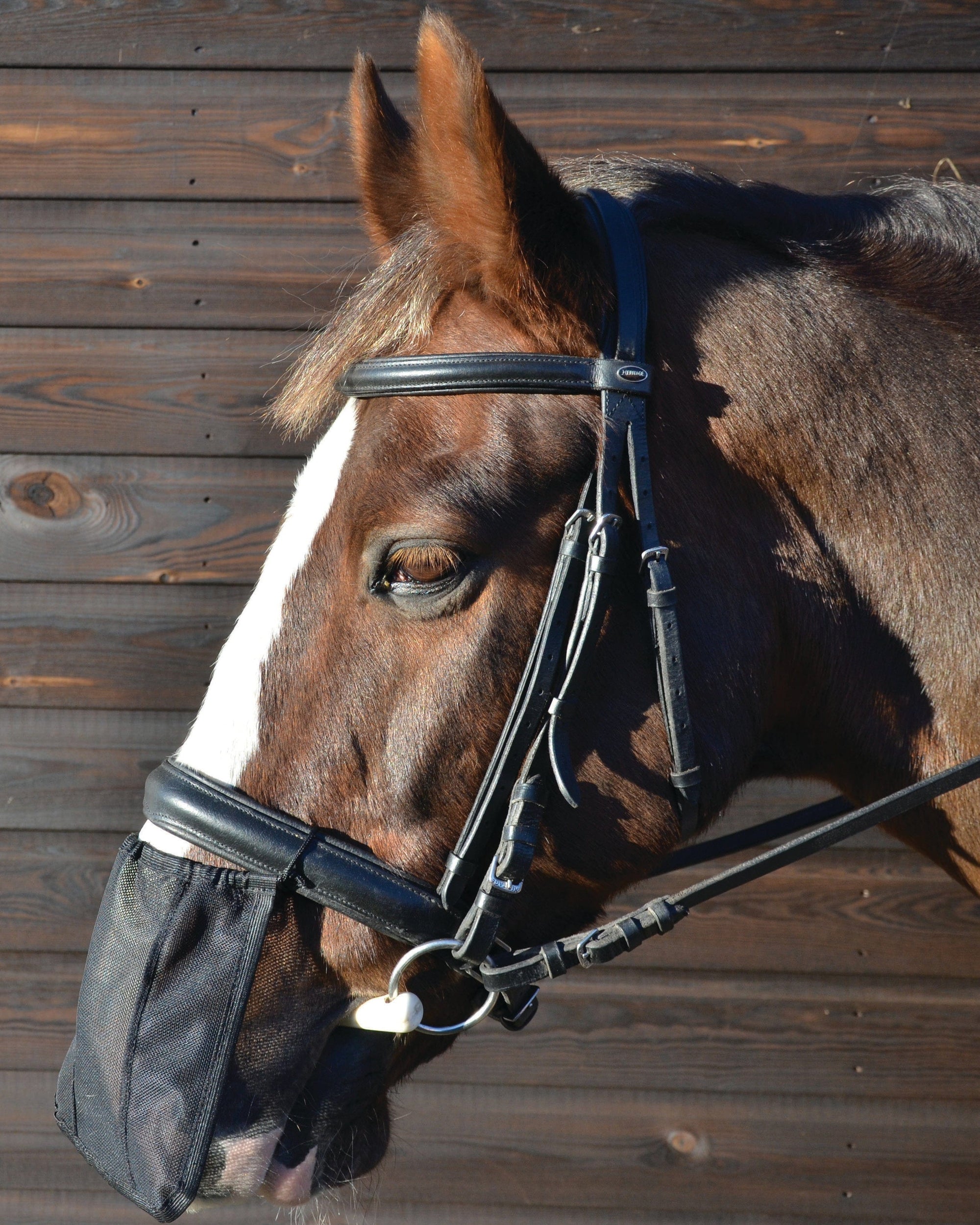 Hy equestrian nose shield