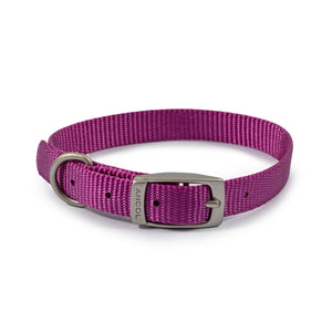 Ancol Viva Buckle Collar Purple