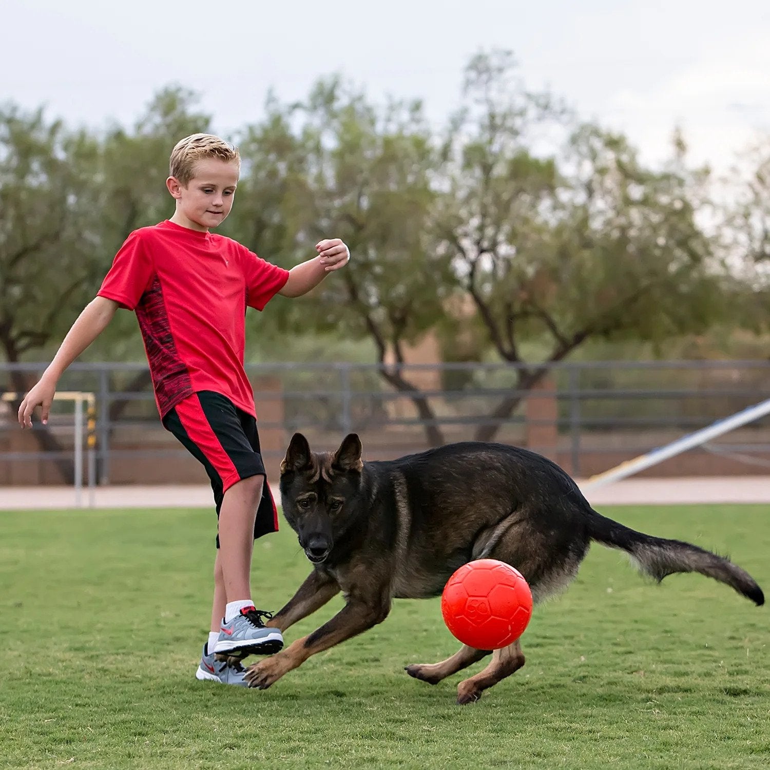 Jolly Pets Jolly Soccer Ball