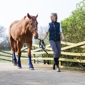 Equilibrium Equi-Chaps Hardy Chaps