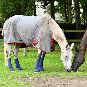 Equilibrium Equi-Chaps Hardy Chaps