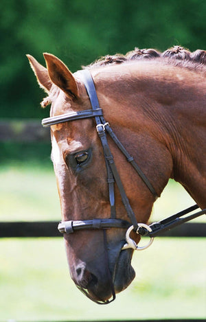 Equilibrium Net Relief Muzzle Net