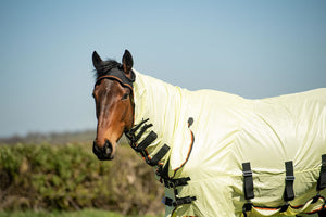 Equilibrium field relief fly rug