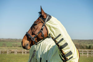 Equilibrium field relief fly rug