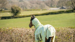 Equilibrium field relief fly rug