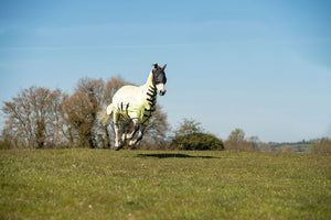 Equilibrium field relief fly rug