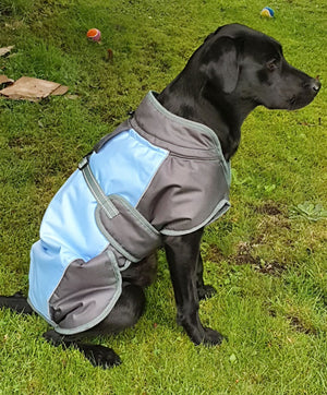 Henry Wag Waterproof Dog Coat