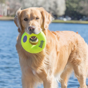 Kong Airdog Squeaker Donut