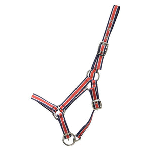 Hy foal head collar