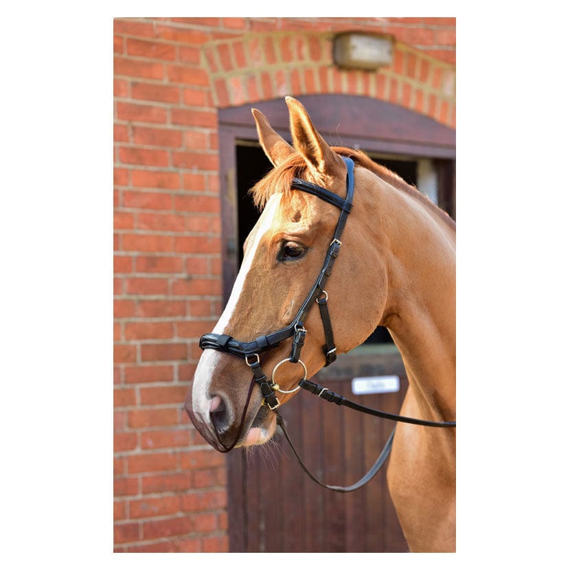 Net relief muzzle net for micklem® bridles