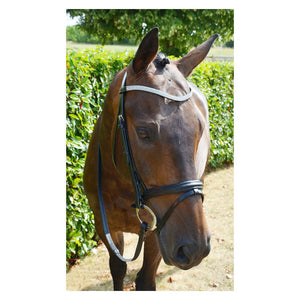 Hy equestrian diamond flash bridle with rubber reins