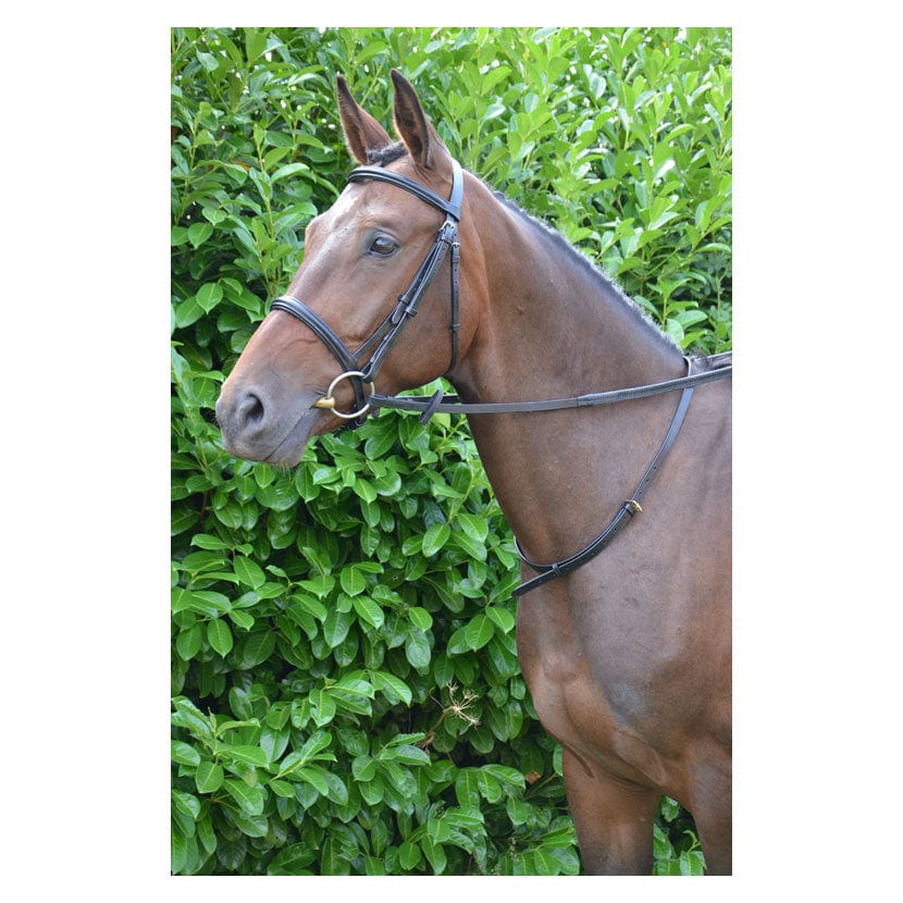 Hy equestrian leather neck strap