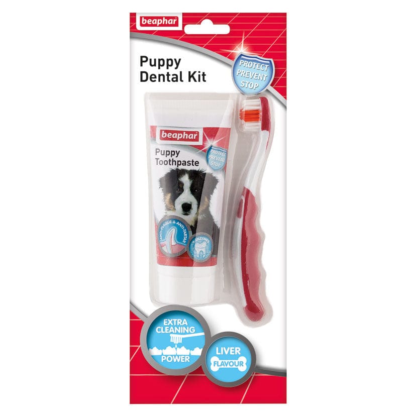 Beaphar puppy dental kit